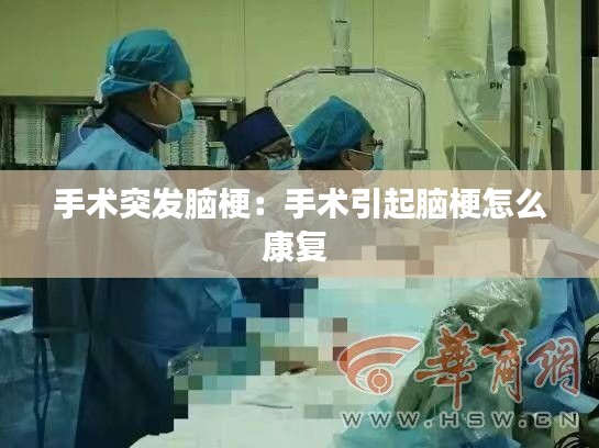 鄭重其事 第2頁(yè)