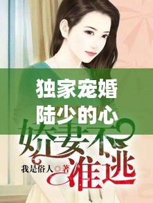 獨(dú)家寵婚陸少的心尖妻：獨(dú)家寵婚陸少心尖妻講了什么 