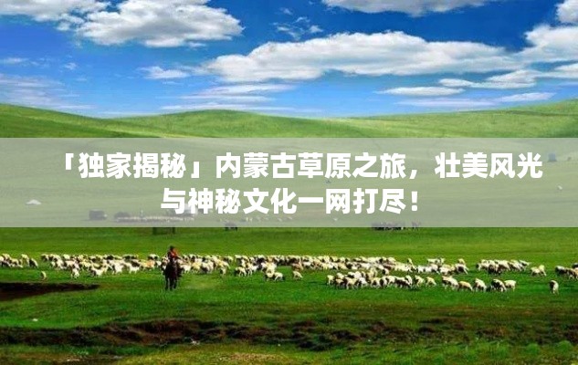 「獨(dú)家揭秘」內(nèi)蒙古草原之旅，壯美風(fēng)光與神秘文化一網(wǎng)打盡！
