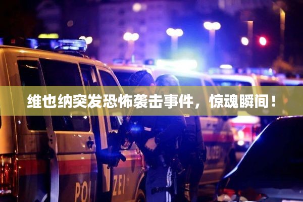 維也納突發(fā)恐怖襲擊事件，驚魂瞬間！