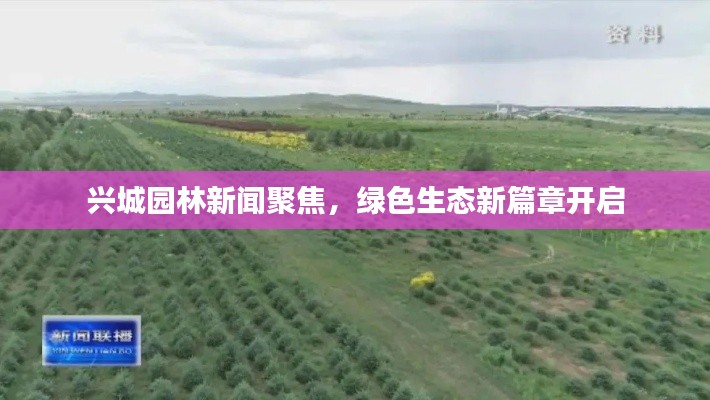 興城園林新聞聚焦，綠色生態(tài)新篇章開(kāi)啟