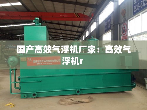 國產(chǎn)高效氣浮機(jī)廠家：高效氣浮機(jī)r 