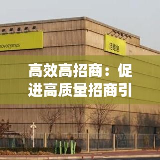 高效高招商：促進(jìn)高質(zhì)量招商引資心得 