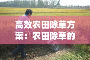 高效農(nóng)田除草方案：農(nóng)田除草的主要目的 