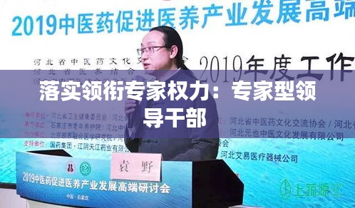 落實領(lǐng)銜專家權(quán)力：專家型領(lǐng)導(dǎo)干部 