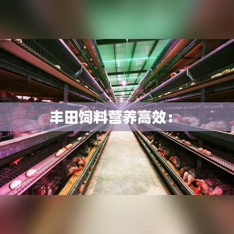 通宵達(dá)旦 第3頁(yè)