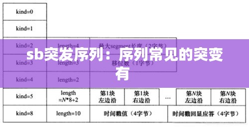 sb突發(fā)序列：序列常見的突變有 