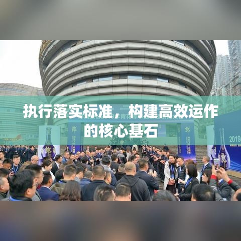 執(zhí)行落實標(biāo)準(zhǔn)，構(gòu)建高效運作的核心基石