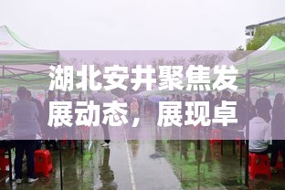 湖北安井聚焦發(fā)展動(dòng)態(tài)，展現(xiàn)卓越企業(yè)風(fēng)采，新聞?lì)^條搶先看