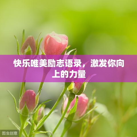 快樂(lè)唯美勵(lì)志語(yǔ)錄，激發(fā)你向上的力量
