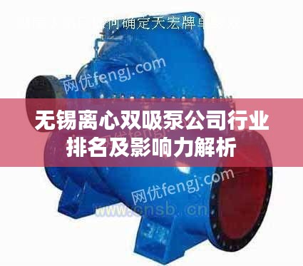無(wú)錫離心雙吸泵公司行業(yè)排名及影響力解析