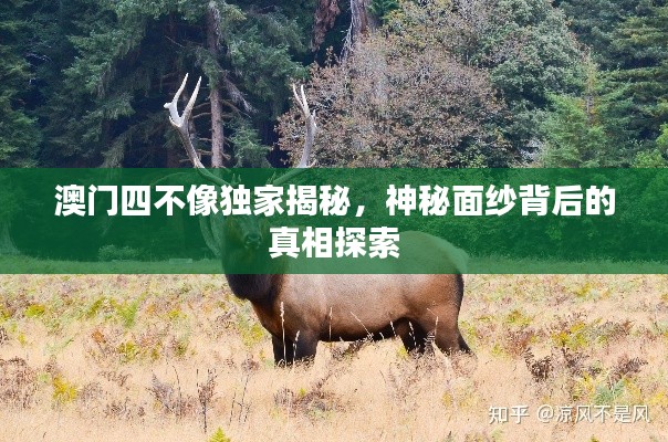 澳門(mén)四不像獨(dú)家揭秘，神秘面紗背后的真相探索