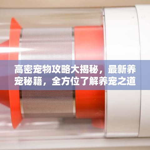 高密寵物攻略大揭秘，最新養(yǎng)寵秘籍，全方位了解養(yǎng)寵之道