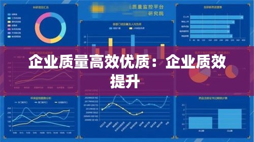 企業(yè)質(zhì)量高效優(yōu)質(zhì)：企業(yè)質(zhì)效提升 