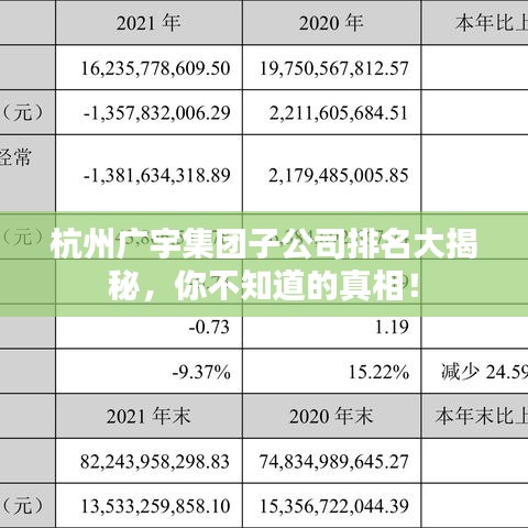 杭州廣宇集團子公司排名大揭秘，你不知道的真相！