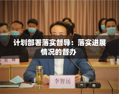 計劃部署落實督導(dǎo)：落實進展情況的督辦 