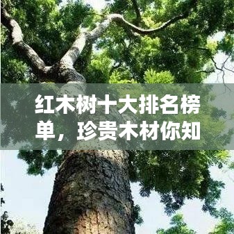 鈍學(xué)累功 第3頁