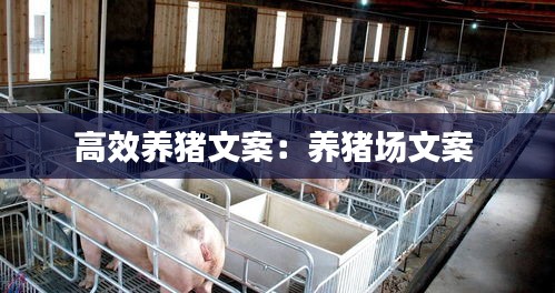 高效養(yǎng)豬文案：養(yǎng)豬場文案 