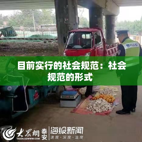 目前實行的社會規(guī)范：社會規(guī)范的形式 