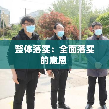 整體落實(shí)：全面落實(shí)的意思 