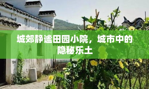 擇善而從 第2頁