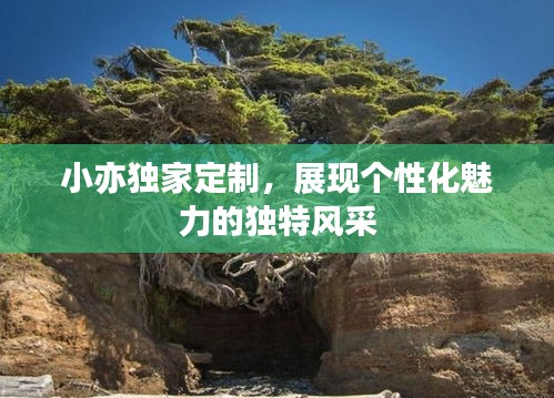 小亦獨(dú)家定制，展現(xiàn)個(gè)性化魅力的獨(dú)特風(fēng)采