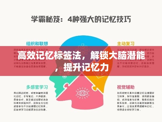 高效記憶標簽法，解鎖大腦潛能，提升記憶力