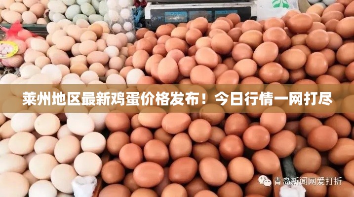 萊州地區(qū)最新雞蛋價格發(fā)布！今日行情一網(wǎng)打盡