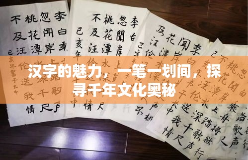 漢字的魅力，一筆一劃間，探尋千年文化奧秘