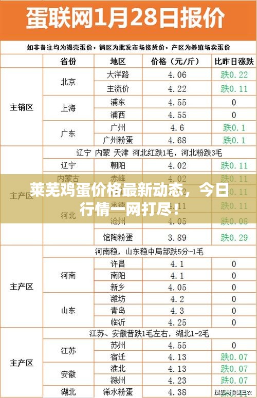 萊蕪雞蛋價(jià)格最新動(dòng)態(tài)，今日行情一網(wǎng)打盡！