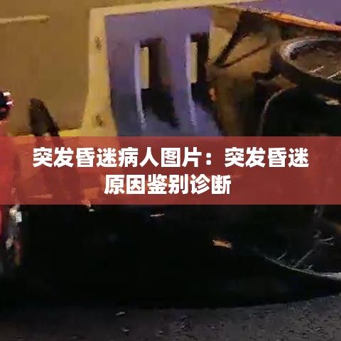 百鳥歸巢 第3頁
