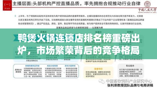 鴨煲火鍋連鎖店排名榜重磅出爐，市場(chǎng)繁榮背后的競(jìng)爭(zhēng)格局深度解析