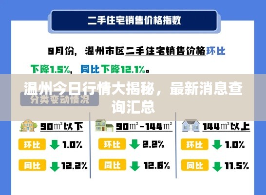 溫州今日行情大揭秘，最新消息查詢匯總