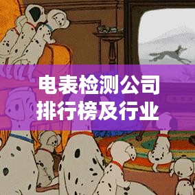 電表檢測公司排行榜及行業(yè)影響力解析