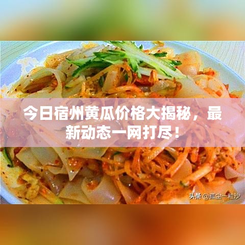 今日宿州黃瓜價(jià)格大揭秘，最新動(dòng)態(tài)一網(wǎng)打盡！
