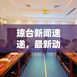 瓊臺新聞速遞，最新動態(tài)與熱點話題全揭秘