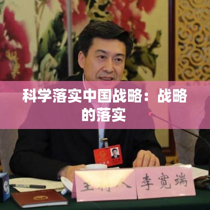 科學(xué)落實(shí)中國(guó)戰(zhàn)略：戰(zhàn)略的落實(shí) 
