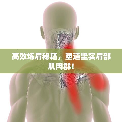 高效煉肩秘籍，塑造堅實肩部肌肉群！