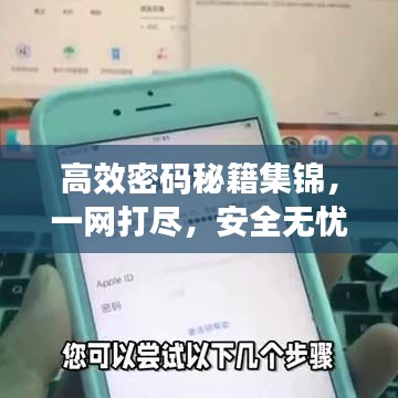 高效密碼秘籍集錦，一網(wǎng)打盡，安全無憂