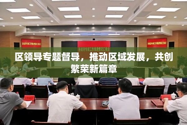 區(qū)領(lǐng)導(dǎo)專題督導(dǎo)，推動區(qū)域發(fā)展，共創(chuàng)繁榮新篇章