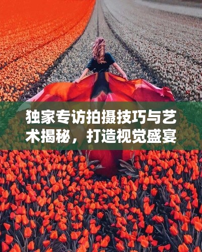 獨(dú)家專(zhuān)訪拍攝技巧與藝術(shù)揭秘，打造視覺(jué)盛宴的秘籍