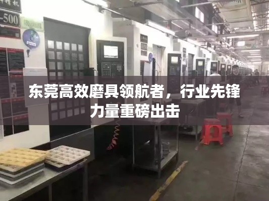 東莞高效磨具領(lǐng)航者，行業(yè)先鋒力量重磅出擊