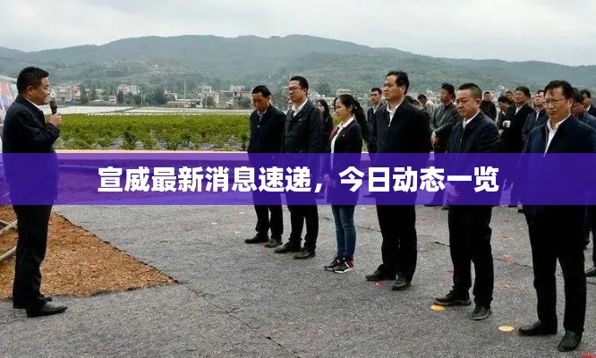 宣威最新消息速遞，今日動態(tài)一覽