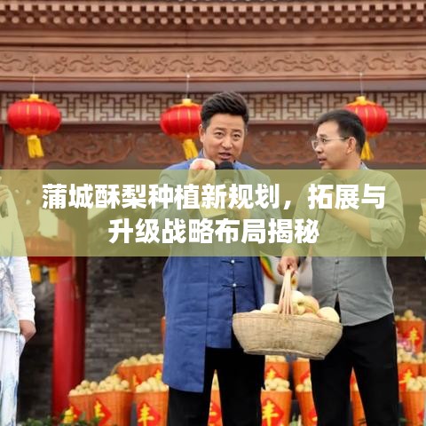 蒲城酥梨種植新規(guī)劃，拓展與升級戰(zhàn)略布局揭秘