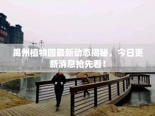 禹州植物園最新動態(tài)揭秘，今日更新消息搶先看！