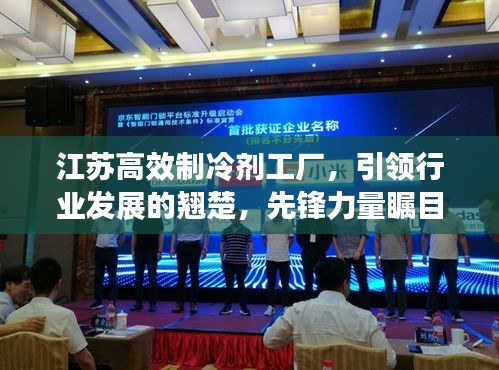 江蘇高效制冷劑工廠，引領(lǐng)行業(yè)發(fā)展的翹楚，先鋒力量矚目之選