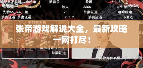 張帝游戲解說大全，最新攻略一網(wǎng)打盡！