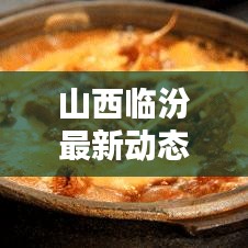 山西臨汾最新動(dòng)態(tài)更新速遞