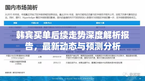 韓賓買(mǎi)單后續(xù)走勢(shì)深度解析報(bào)告，最新動(dòng)態(tài)與預(yù)測(cè)分析