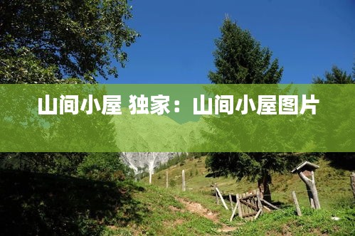 鳥飛兔走 第3頁(yè)